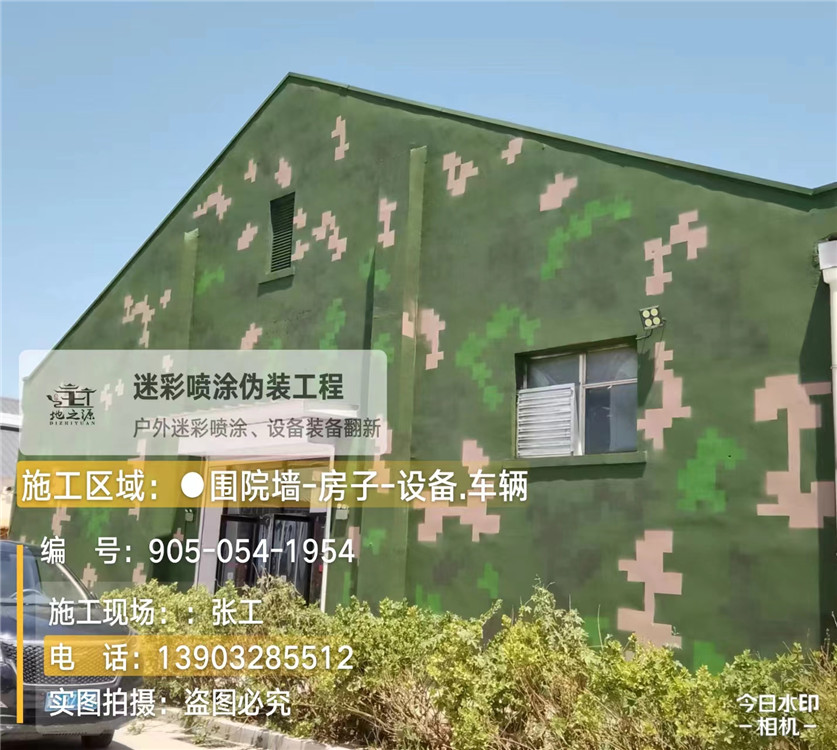 湘西外墙数码迷彩漆施工报价清单（100㎡标准墙面测算）